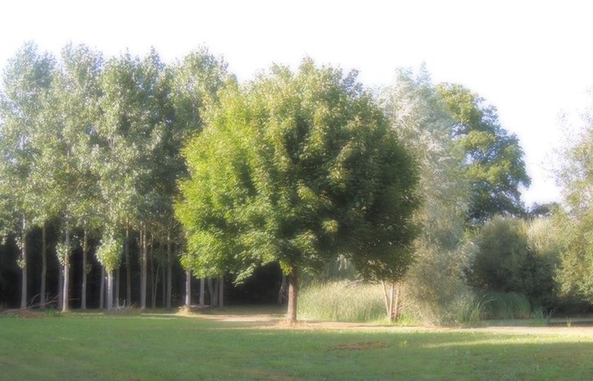 GÎTE ÉTAPE ET SÉJOUR - DOMAINE DES MILLE OISEAUX : LE GRAND PIAF 9 - Villiers-Charlemagne