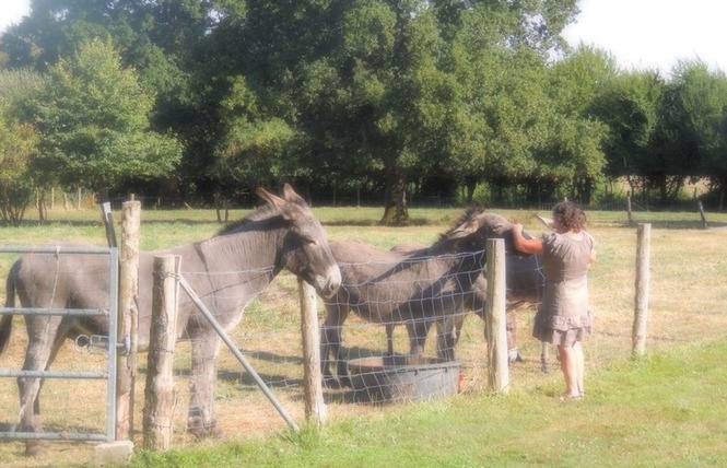 GÎTE ÉTAPE ET SÉJOUR - DOMAINE DES MILLE OISEAUX : LE GRAND PIAF 10 - Villiers-Charlemagne