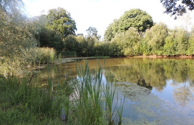 Domaine des Mille Oiseaux : Les Hirondelles 4 - Villiers-Charlemagne