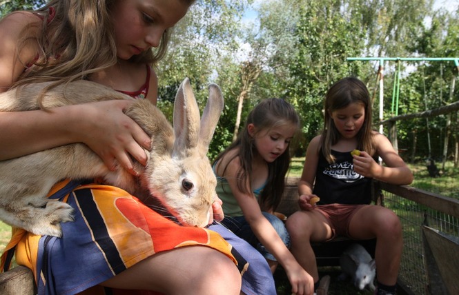 Camping la Viotterie 21 - La Boissière