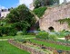 JARDIN MÉDIÉVAL DE LA SOURCE 6 - Château-Gontier-sur-Mayenne