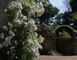 JARDINS DU MANOIR DE FAVRY 3 - Préaux